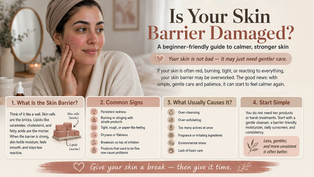 Signs of Damaged Skin Barrier and How to Fix It (Beginner Guide)